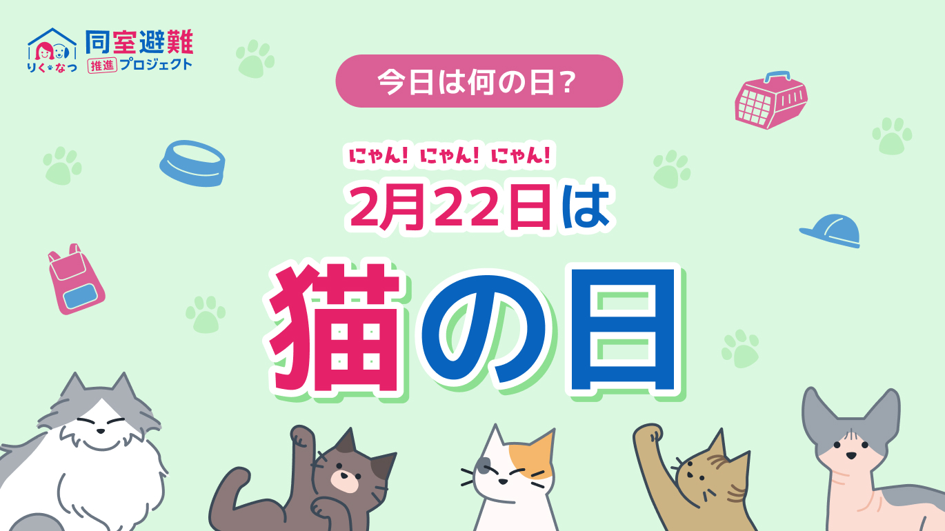 猫の日に考える、「諦めない」ための防災 | 防災コラム | りく・なつ